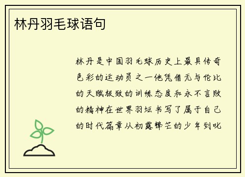 林丹羽毛球语句